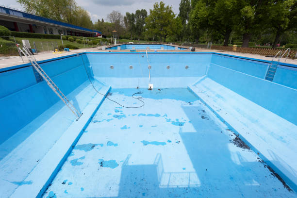 Best Professional water damage repair  in Prairie Ridge, WA