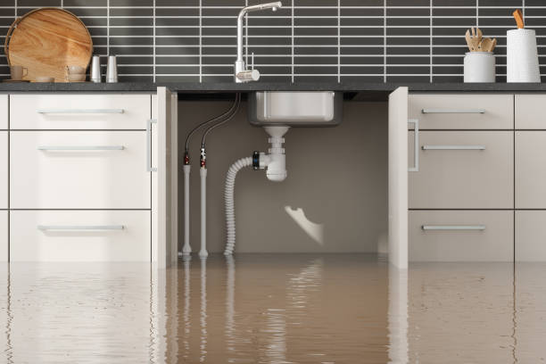 Best Flooded house restoration  in Prairie Ridge, WA