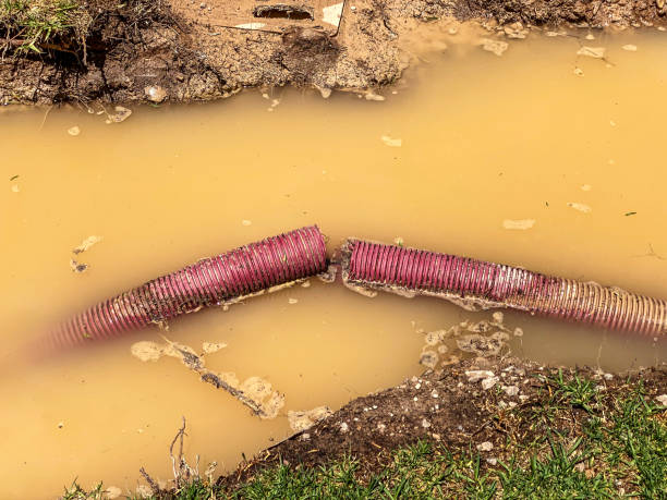Best 24/7 water damage repair  in Prairie Ridge, WA