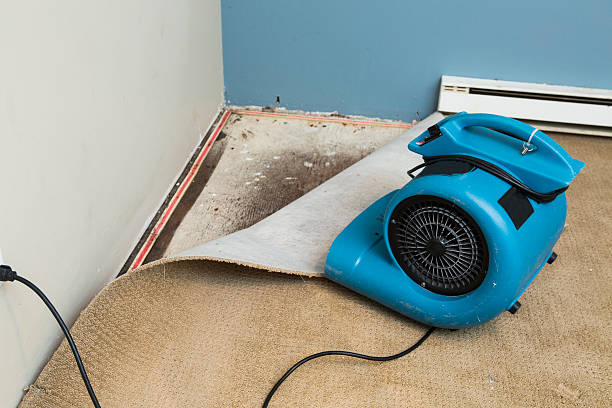 Best Flooded house restoration  in Prairie Ridge, WA